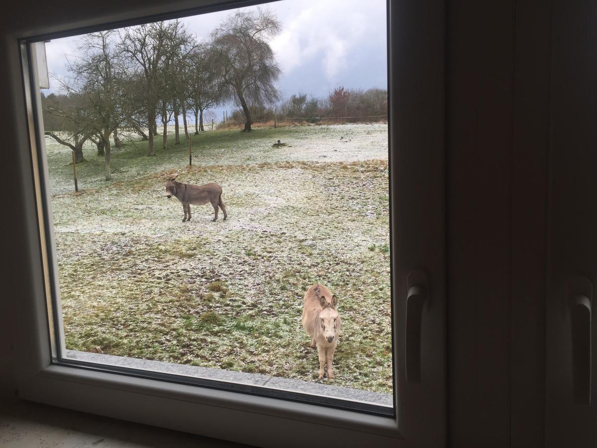 Hotel Am Rossberg Altenahr Luaran gambar